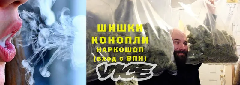 Бошки марихуана THC 21%  Истра 